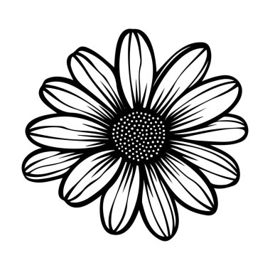 Yaratıcı Tasarım Projeleri ve Botanik Sanatları İçin El Çizimi Siyah ve Beyaz Papatya Çiçeği İllüstrasyonu