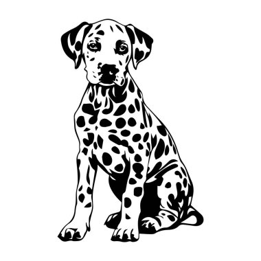 Evcil Hayvanlar ve Sanat Eserleri İçin Minimalist Tarzlı Oturan Dalmaçyalı Köpeğin Siyah ve Beyaz Çizimi