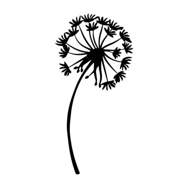 Zarif Çiçeğin Zarif Silüeti Detaylı Yapraklar ve Doğanın Zarif Kökü Teması