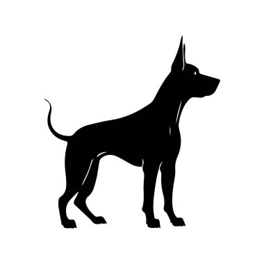 Büyük Danimarkalı 'nın Zarif Silueti 