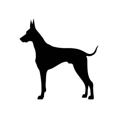 Danua 'nın Zarif Silueti Sanatsal ve Yaratıcı Kullanıma Karşı Gururla Duruyor