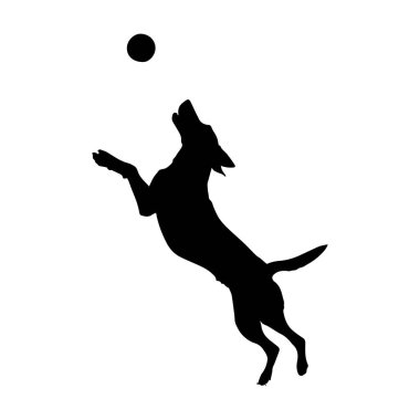 Neşeli bir köpeğin siyah silueti neşeli bir sahnede topu yakalamak için zıplıyor.