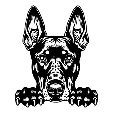 Perked Ears 'ın Siyah ve Beyaz İllüstrasyonu Güçlü Bir Tarzla İlgi ve Sadakat Gösteriyor