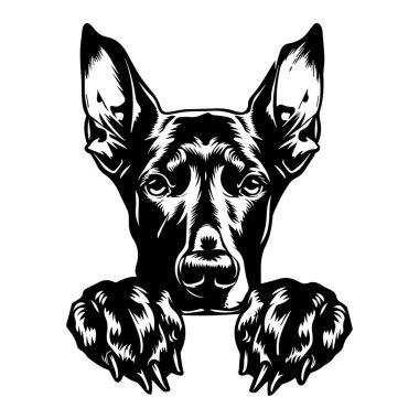 Gösterişli Gözler ve Oyuncak Pençeli Bir Köpeğin Zarif Siyah ve Beyaz Çizimi