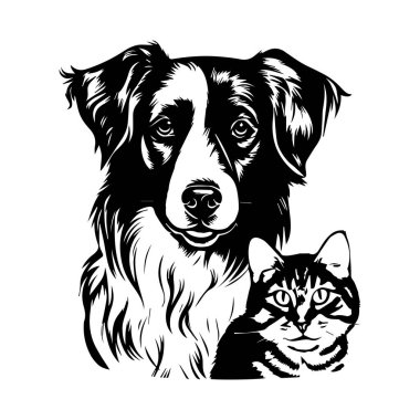 Sadık bir köpeğin portresi ve Neşeli Kedi Yürek ısıtan bir Dostluk Çizimi