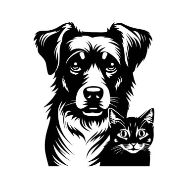 Ayrıntılı Kürk ve İfade Yüzlü Bir Kedi ve Bir Köpeğin Siyah ve Beyaz Çizimi