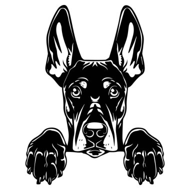 Ayırt Edici Kulakları ve İfadesi Yüzeyden Gözetlenen Bir Köpeğin Siyah ve Beyaz Çizimi