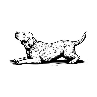 Gevşek Poz Veren Oyuncu Köpek Siyah ve Beyaz Çizim Biçimi ile Çarpışıyor