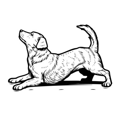 Pençeleri üzerinde gerinen oyuncu köpek, siyah-beyaz çizim tarzında canlı enerji ve coşku sergiliyor.