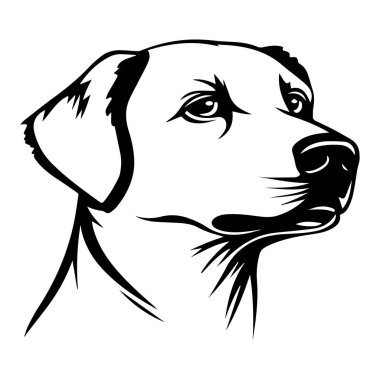 Belirgin Yüz İfadeleri ve Sanatsal Çizgi Çalışmaları içeren Bir Köpek Başının Ayrıntılı ResimleriName