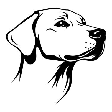 Etkileyici Özellikleri ve Zarif Çizgileri olan Bir Köpek Başı Profilinin Ayrıntılı Siyah ve Beyaz ResmiName