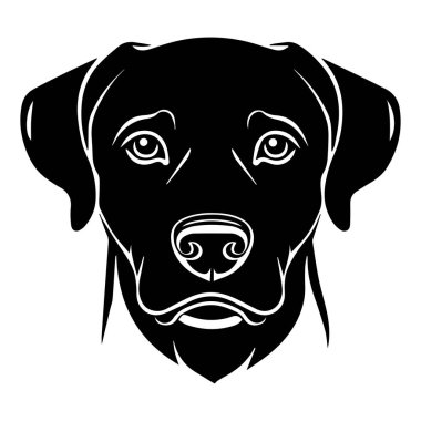Labrador köpeğinin zarif silueti siyah-beyaz, anlamlı gözleri ve pürüzsüz çizgileri var.