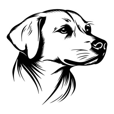 Bir Köpek Başı Gösterişli Özellikleri ve Eşsiz Karakterinin Zarif Siyah ve Beyaz Çizimi