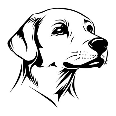 Siyah ve Beyaz Sanatsal Biçimli Labrador Retriever Başlığının Ayrıntılı Resimleri