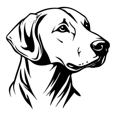 Siyah ve Beyaz Sanat Biçimli Labrador Retriever Köpeğinin Ayrıntılı Yan Profili