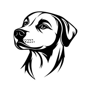 İfade Eden Gözler ve Güçlü Çizgiler içeren Bir Köpeğin Başının Detaylı Siyah ve Beyaz ResmiName