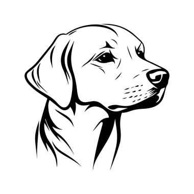 Siyah ve Beyaz Benzersiz Çizgi Sanat Tarzına sahip Bir Köpek Başı Profilinin Ayrıntılı ResmiName
