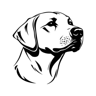 Bir Labrador Köpek Başı Biçimlendirmesi Profili, İfade ve Ayrıntıları Kalın Çizgilerle Yakalıyor