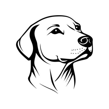 Sadık Bir Dostun Eşsiz ve Sanatsal Bakış Amaçlı Bir Köpek Başının Siyah ve Beyaz Çizimi