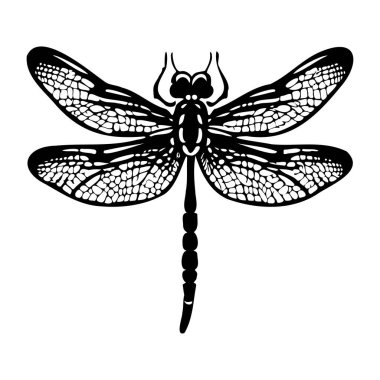 Doğa ve Böcek Çizimleri İçin Karmaşık Kanatlı Yusufçuğun Detaylı Kara Silüeti