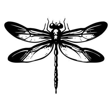 Ayırt edici Kanatları ve Siyah-Beyaz Karmaşık Vücut Tasarımı olan Bir Yusufçuğun Ayrıntılı Çizimi