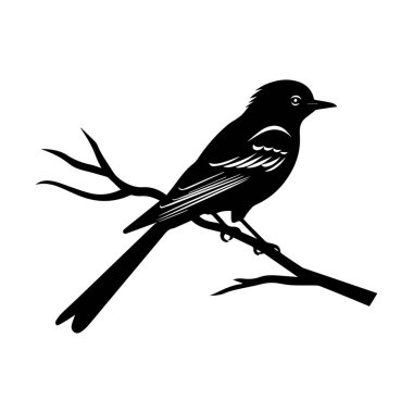 Zarif siyah bir kuş silueti narin dallarla bir dala tünemiş, doğa ve vahşi yaşam güzelliğini gözler önüne seriyor.