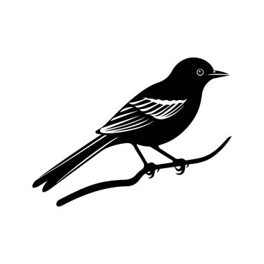 Bir dala konmuş küçük bir kuşun zarif silueti vektör tasarım projeleri için ideal.