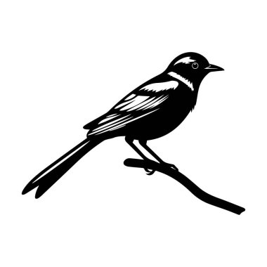 Bir dalın üzerine tünemiş bir kuşun zarif silueti doğal güzelliği ve karmaşık ayrıntıları siyah-beyaz sergiliyor.