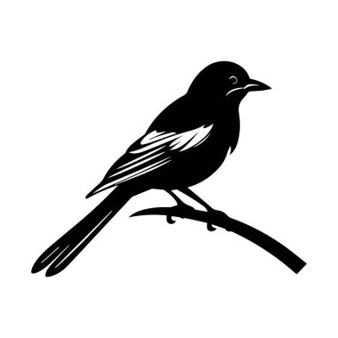 Zarif Minimalist Tarzıyla Bir Dalda Oturan Bir Kuşun Siyah Silueti