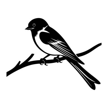 Dalın üzerine tünemiş kuşların zarif siyah-beyaz tasviri. Detaylı ve zarif duruş.