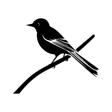 Doğa Temalı Tasarım Projeleri İçin Temiz Bir Arkaplan Karşısında Bir Kuşun Zarif Silueti