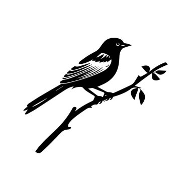 Yapraklı bir dalın üzerine tünemiş bir ötücü kuşun siyah silueti doğa severler için minimalist vahşi yaşam çizimi.