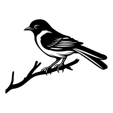 Doğayı Sevenler İçin Minimalist Tarzında Bir Dalın Üzerine Tünemiş Bir Kuşun Siyah ve Beyaz Silueti