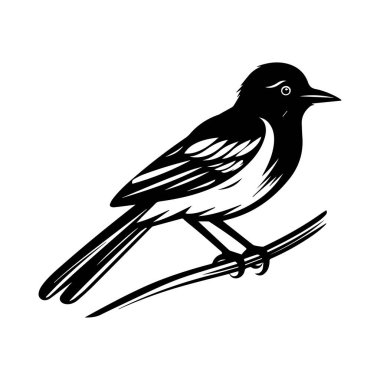Dalına tüy gibi ince detaylar ve zarif duruşuyla tüneyen bir kuşun siyah ve beyaz silueti.