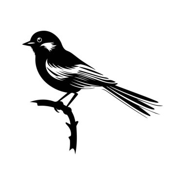 Doğaya ve vahşi yaşama karşı bir dala tünemiş şarkı söyleyen bir kuşun silueti.