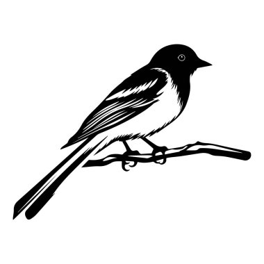 Minimalist Tarzda Bir Dalda Oturan Bir Kuşun Siyah ve Beyaz Çizimi