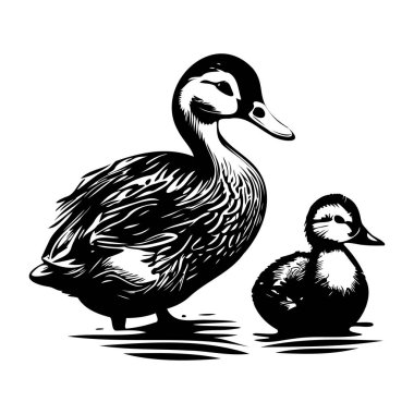 İki Ördek Doğa Sanatı İçin Basit Bir Siyah-Beyaz Çizim Biçiminde Birlikte Duruyor