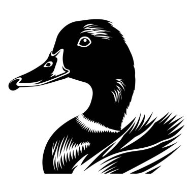 Karmaşık Tüy desenli Ördek Portresi 'nin Ayrıntılı Siyah ve Beyaz Çizimi