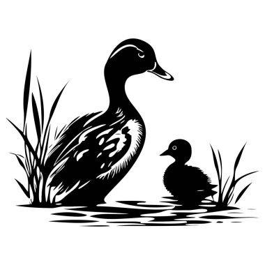 Uzun Çimenler ve Sazlıklarla çevrili Serene Suyuna Yuvalanmış Ördek Yavrusu ile Bir Anne Ördeğin Silueti