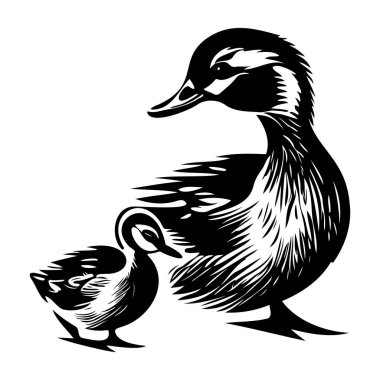 Doğa ve Vahşi Yaşam İllüstrasyonları İçin Siyah ve Beyaz Giyimli Zarif Ördek ve Ördek Ördek Ördeği