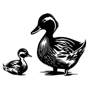 Anne ördeğin zarif silueti ve ördeği suyun kenarında zarif bir şekilde duruyor.