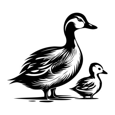 Bir ördeğin zarif silueti ve sakin bir su yüzeyinde ördek yavrusu doğanın güzelliğini ve zarafetini gösteriyor.