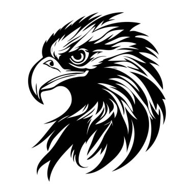 Keskin Özellikleri ve Yoğun İfadesiyle Görkemli Bir Kartal Başı 'nın Ayrıntılı Siyah ve Beyaz Görünümü