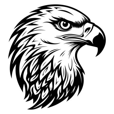 Kalın Çizgiler ve Keskin Özellikler içeren Görkemli Kartal Başının Ayrıntılı Siyah ve Beyaz ResmiName