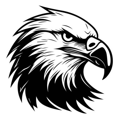 Yoğun İfade ve Tüylü Vahşi Kartal Kuş Portresi Detaylı Siyah ve Beyaz Görünümü