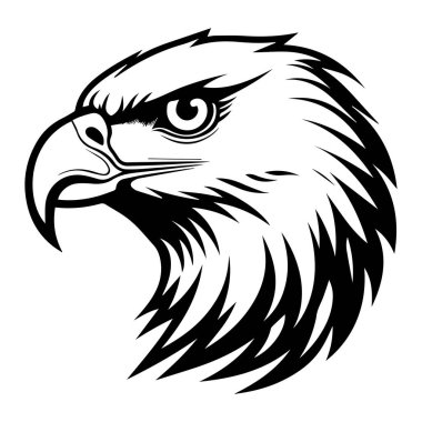 Görkemli Kartal Profil Çizimi Karmaşık Tüy Detayları ve Vahşi Yaşam Sanatına Yoğun Bakış