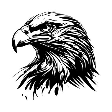Görkemli Kartal Siyah ve Beyaz Çizim Karmaşık Detay ve Dinamik Tüy Örnekleri