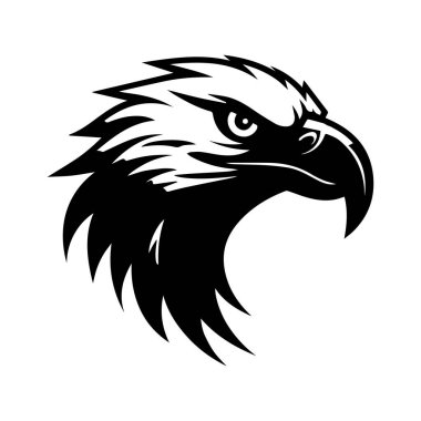 Görkemli Siyah ve Beyaz Kartal Kafa Görünümü Vahşi İfade ve Güçlü Özelliklerle