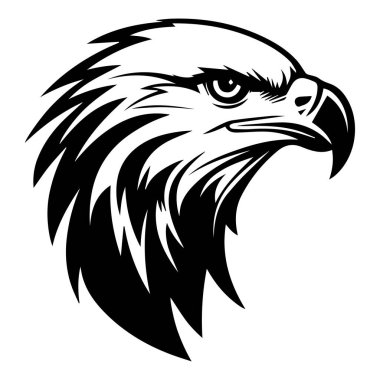 Görkemli Siyah-Beyaz Görüntü Kartal Başı Ayrıntılı Tüylü Doku ve Güçlü Bakış