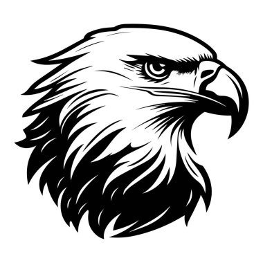 Sanatsal ve Vahşi Yaşam Teması İçin Ayrıntılı ve Güçlü Siyah ve Beyaz Kartal Baş İllüstrasyonu